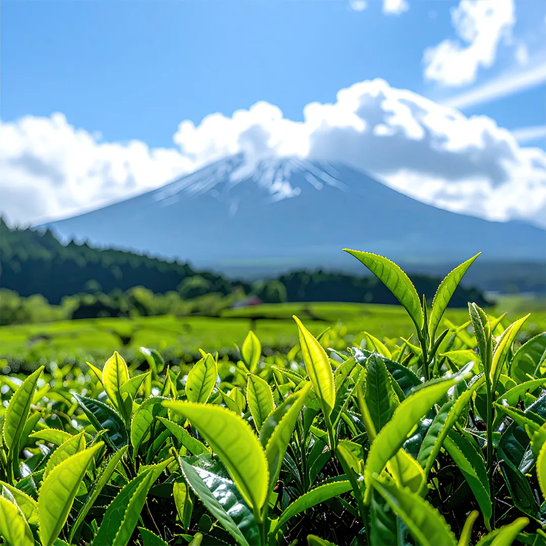 JAPAN HOLIDAY GOLDEN ROUTE JOURNEY FOR TWO + £1000