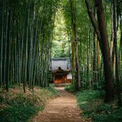 JAPAN HOLIDAY GOLDEN ROUTE JOURNEY FOR TWO + £1000