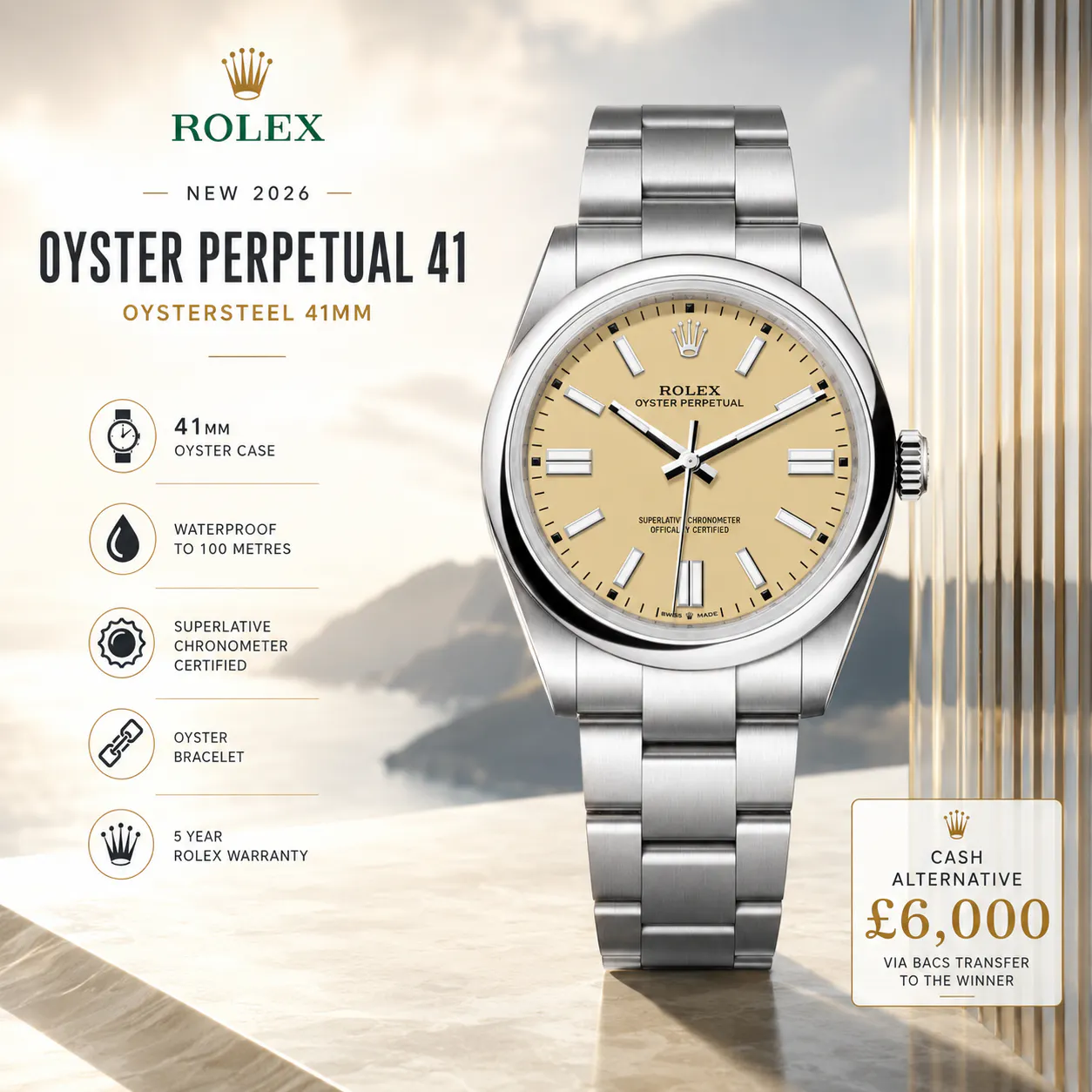 NEW 2026 ROLEX OYSTER PERPETUAL 41 OYSTERSTEEL 41MM OR £6,000