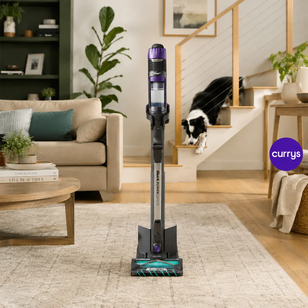 TOP SPEC SHARK POWERDETECT CLEAN & EMPTY CORDLESS VAC